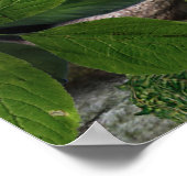 Eichhörnchen Dragons Poster (Ecke)