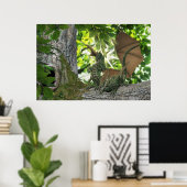 Eichhörnchen Dragons Poster (Heimbüro)