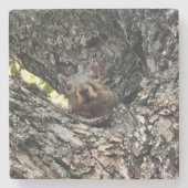 Eichhörnchen Drink Untersetzer (Vorderseite)