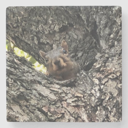 Eichhörnchen Drink Untersetzer (Vorderseite)