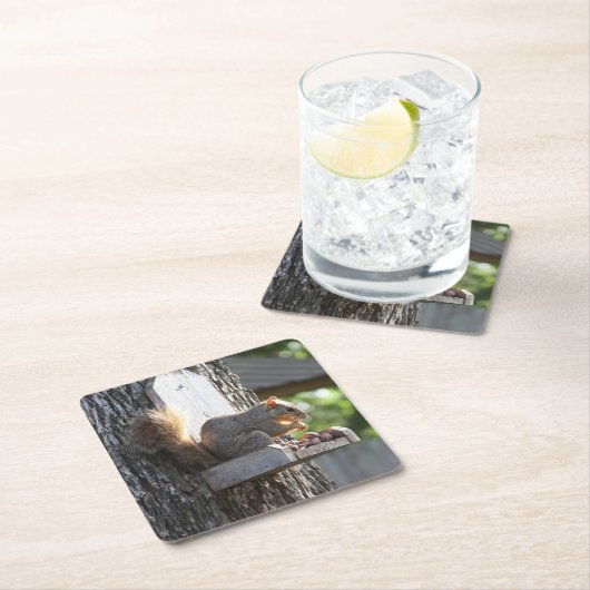 Eichhörnchen Drink Untersetzer (Vor Ort)