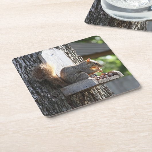 Eichhörnchen Drink Untersetzer (angewinkelt)