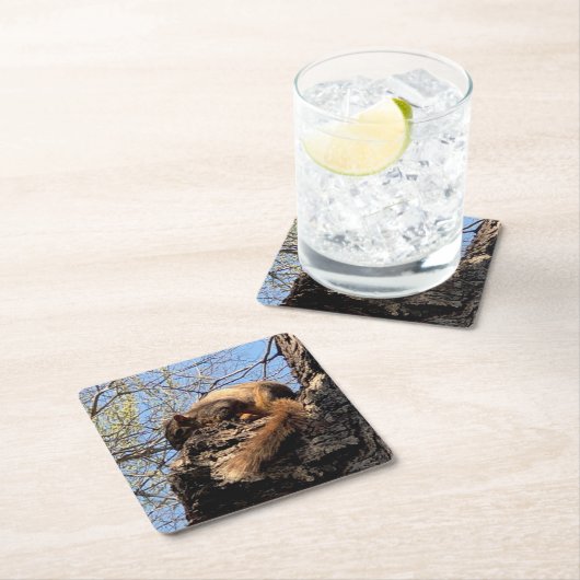 Eichhörnchen Drink Untersetzer (Vor Ort)
