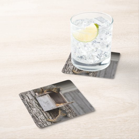 Eichhörnchen Drink Untersetzer (Vor Ort)