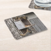 Eichhörnchen Drink Untersetzer (angewinkelt)