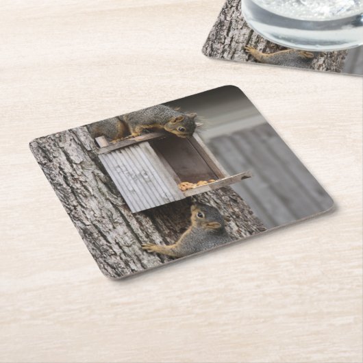 Eichhörnchen Drink Untersetzer (angewinkelt)