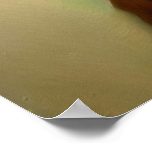 Eichhörnchen Druid Poster (Ecke)