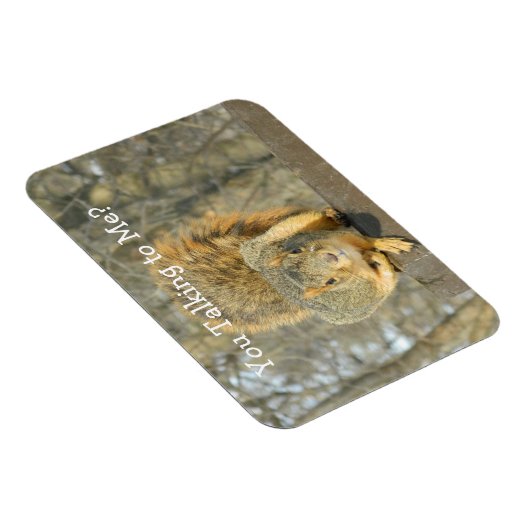 Eichhörnchen (Du redest) Magnet (Rechte Seite)