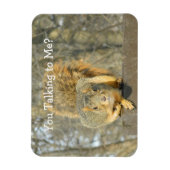Eichhörnchen (Du redest) Magnet (Vertikal)