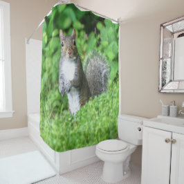 Eichhörnchen Duschvorhang