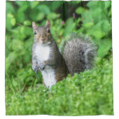 Eichhörnchen Duschvorhang (Vorderseite)