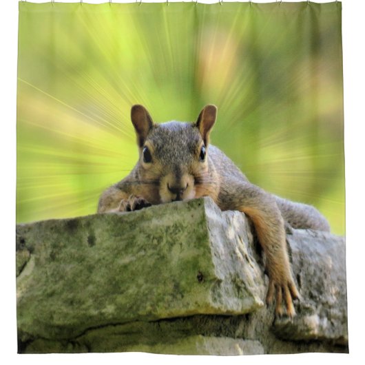 Eichhörnchen Duschvorhang (Vorderseite)