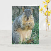 Eichhörnchen Eichhörnchen Acorns Jede Anlässe Karte (Gelbe Blume)