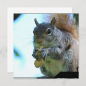 Eichhörnchen Einladung (Vorne/Hinten)