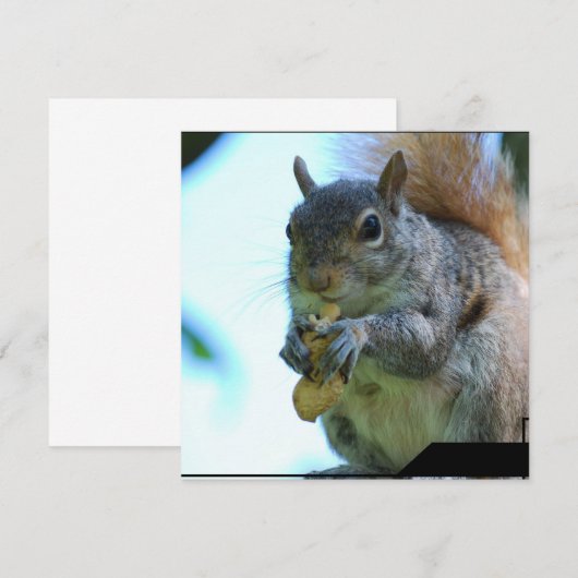 Eichhörnchen Einladung (Vorne/Hinten)
