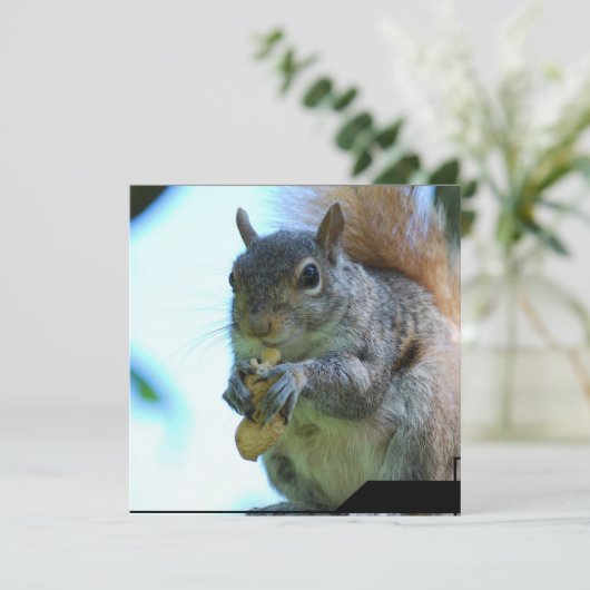 Eichhörnchen Einladung (Stehend Vorderseite)