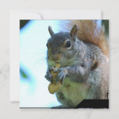 Eichhörnchen Einladung (Vorderseite)