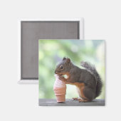 Eichhörnchen Eis-Creme Magnet (Vorderseite/Rückseite)