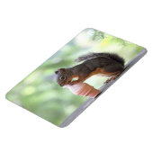 Eichhörnchen Eis-Creme Magnet (Linke Seite)