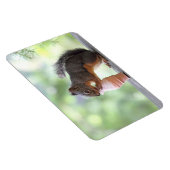 Eichhörnchen Eis-Creme Magnet (Rechte Seite)