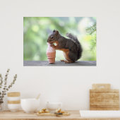 Eichhörnchen Eis-Creme Poster (Küche)
