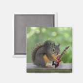 Eichhörnchen, Elektrische Gitarre spielen Magnet (Vorderseite/Rückseite)