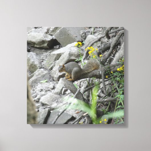 Eichhörnchen entlang einer Bachbank Leinwanddruck (Vorderseite)