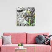 Eichhörnchen entlang einer Bachbank Leinwanddruck (Insitu (Wohnzimmer))