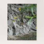 Eichhörnchen entlang einer Bachbank Puzzle (Vertikal)
