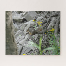 Eichhörnchen entlang einer Bachbank Puzzle
