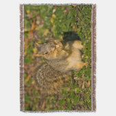 Eichhörnchen, Erdnuss, Kristallspinge Decke (Vorderseite Vertikal)