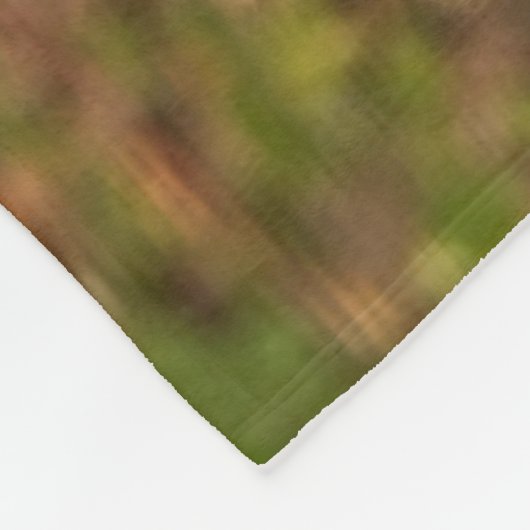 Eichhörnchen, Erdnuss, Kristallspinge Fleecedecke (Ecke)