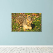 Eichhörnchen, Erdnuss, Kristallspinge Leinwanddruck (Insitu (Holzboden))