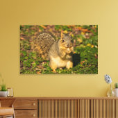 Eichhörnchen, Erdnuss, Kristallspinge Leinwanddruck (Insitu (Wohnzimmer))