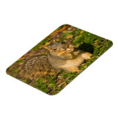Eichhörnchen, Erdnuss, Kristallspinge Magnet (Linke Seite)