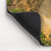 Eichhörnchen, Erdnuss, Kristallspinge Mousepad (Ecke)