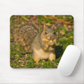 Eichhörnchen, Erdnuss, Kristallspinge Mousepad (Mit Mouse)
