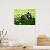 Eichhörnchen essen Blume Poster (Küche)