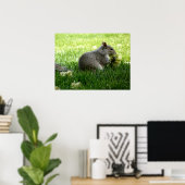 Eichhörnchen essen Blume Poster (Heimbüro)