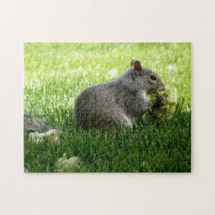 Eichhörnchen essen Blume Puzzle