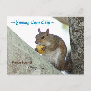 Eichhörnchen essen Maischip Spiegeland Postcard Postkarte