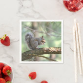 Eichhörnchen essen Papier Napkin Serviette (Beispiel)
