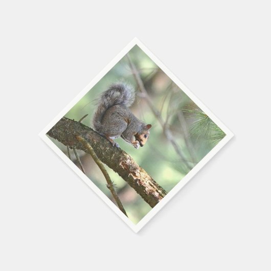 Eichhörnchen essen Papier Napkin Serviette (Ecke)