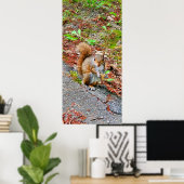 Eichhörnchen essen poster (Heimbüro)