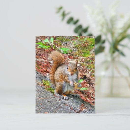 Eichhörnchen essen postkarte (Stehend Vorderseite)