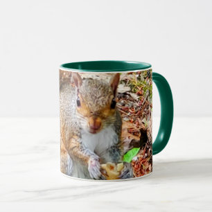 Eichhörnchen essen tasse