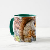 Eichhörnchen essen tasse (Vorderseite Links)