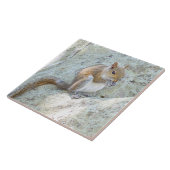 Eichhörnchen essen Tile Fliese (Seite)