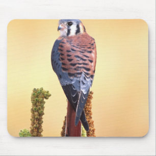 Eichhörnchen, Falco sparverius, Ureinwohner der US Mousepad