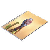 Eichhörnchen, Falco sparverius, Ureinwohner der US Notizblock (Linke Seite)